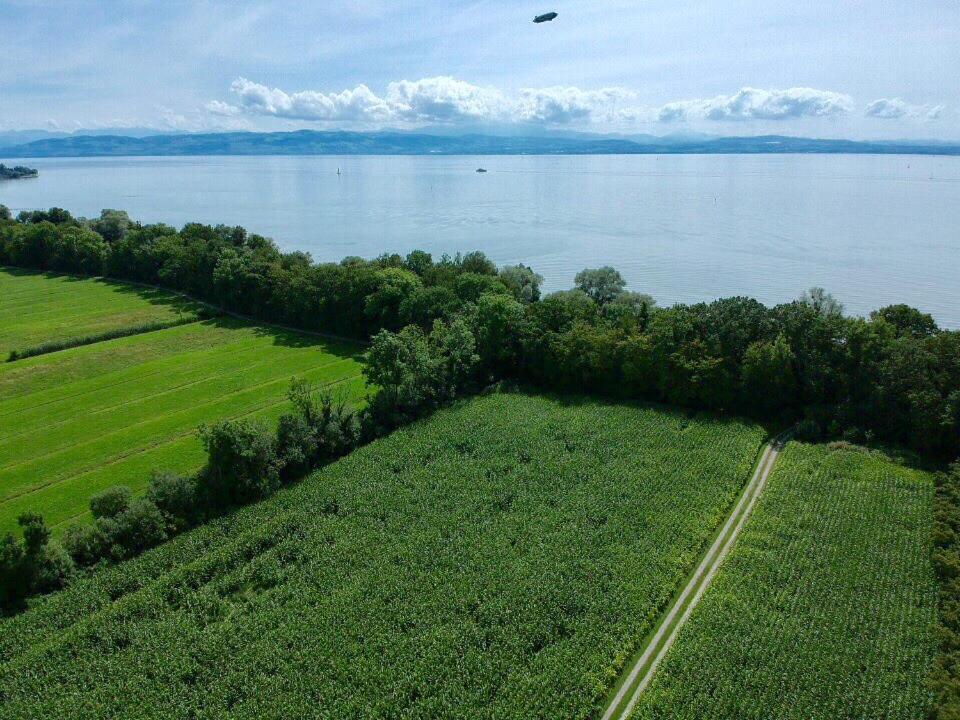 Wohlfuehlloft Seekretzer Mit Privatem Seezugang FDH Eksteriør bilde